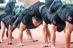 包含运动员专业训练，为争夺荣誉全力以赴的词条